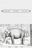 Animalário Universal do Professor Revillod
