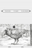 Animalário Universal do Professor Revillod